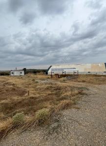 Almost new Sheep shed 30*12 Cm (360 m2)  Never been ...