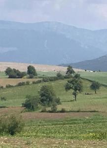 The land is a farm land located in Vezir pr ...