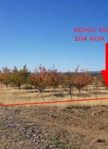Apple agricultural land for sale, area 12881,35   