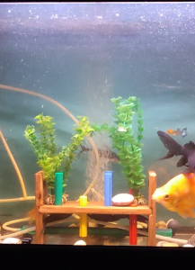 For sale fish tank complete with heater And 2 internal and ...