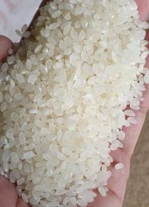 أرز صيني نوع ممتاز موجود كمية ٢٠٠ طن  التعبئة أكياس ٢٥ ...