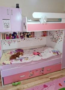 For sale a good used bunk girls bed The price is ...