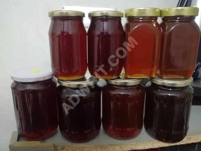 Suriye Balı