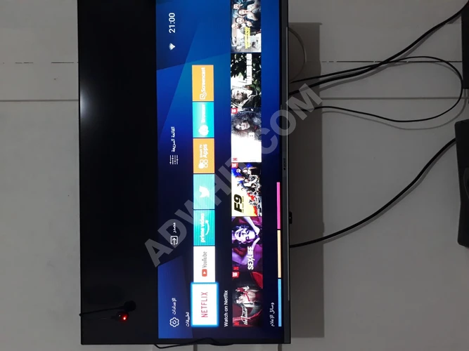 Televizyon