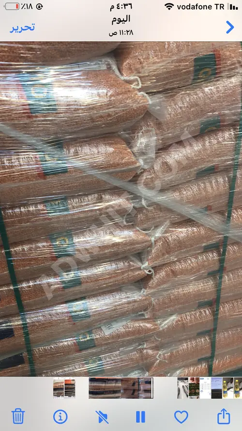 Kırmızı Mercimek