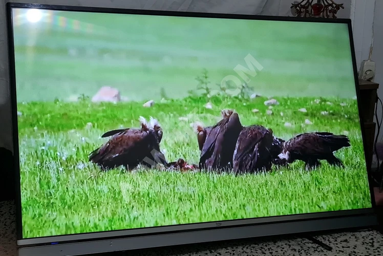 Beko Televizyon