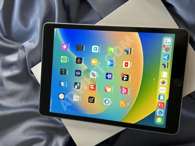 iPad