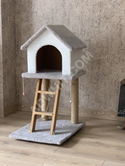 Yeni kedi evi
