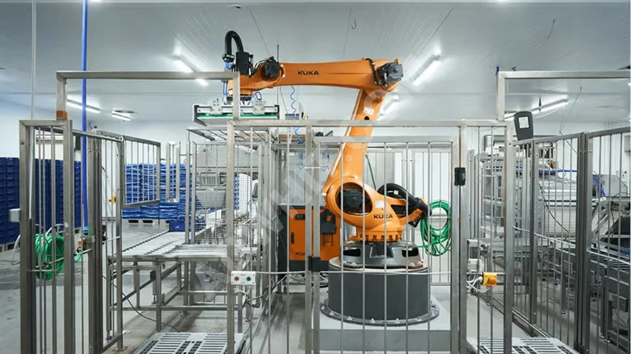 Robot Kol İle Paletleme Makinası