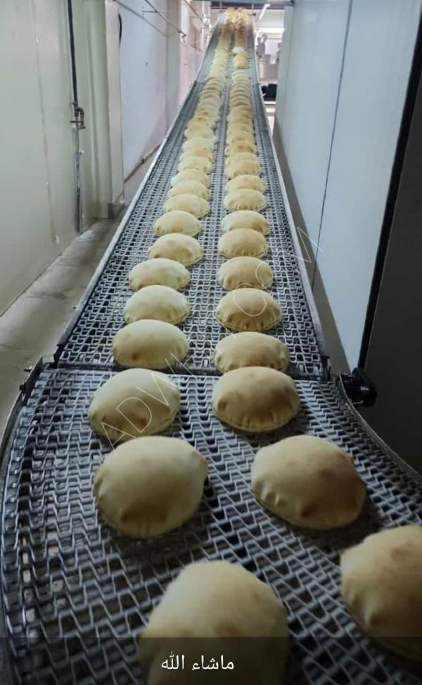 Çift kesimli Arap ekmeği üretim hattı