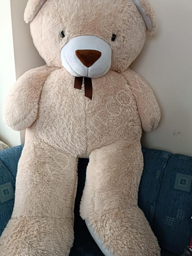 New big Teddy bear for sale