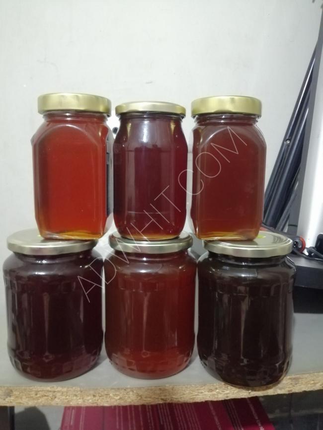 Syrian honey