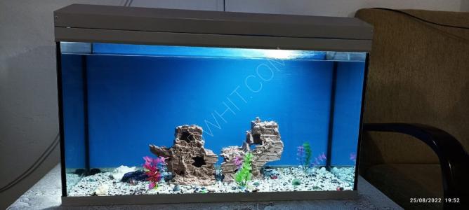 Larg fish tank for sale 