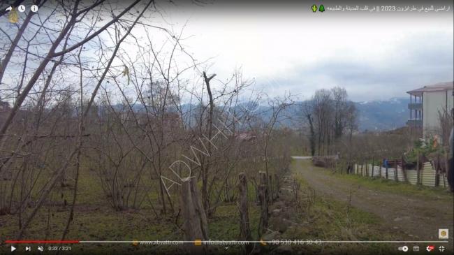 Lands for sale in Trabzon 2023 || In the heart of the city and nature