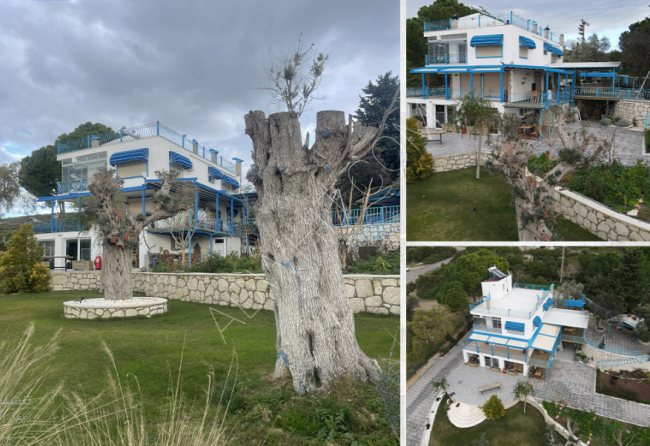 Villa with sea views and distinctive designs