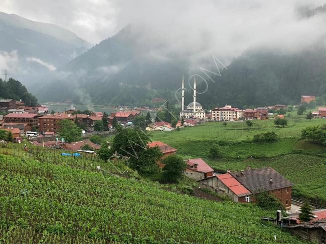 Trabzon Uzungöl'de kiralık bungalov evler