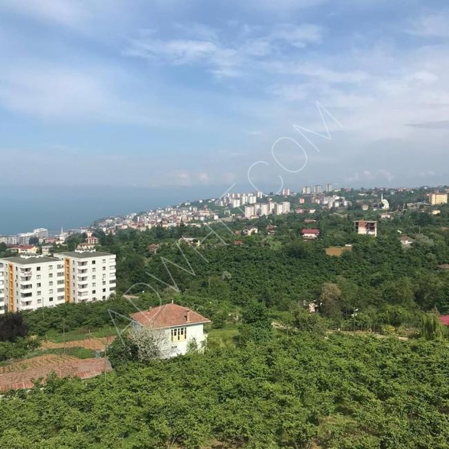 Trabzon'da deniz kenarında günlük kiralık otel konseptinde balkonlu daire