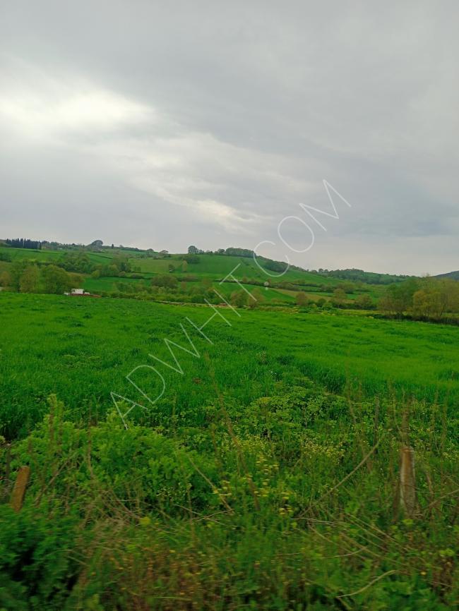 A farm of 190,000 square meters for sale at an attractive price