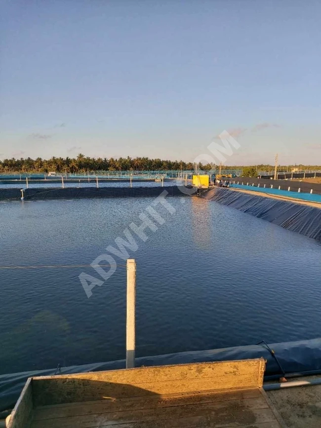 HDPE geomembrane su yalıtımı