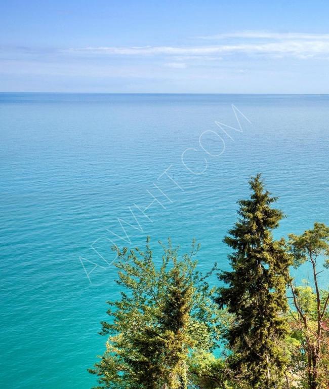 Cottages for rent in Trabzon by the sea, with breakfast