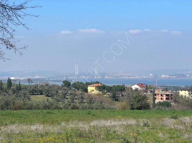 Investment opportunity, land for sale, with an area of 3,750 square meters