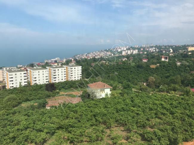 Trabzon'da Karadeniz ve badem ağaçlarına bakan otel konseptinde daireler