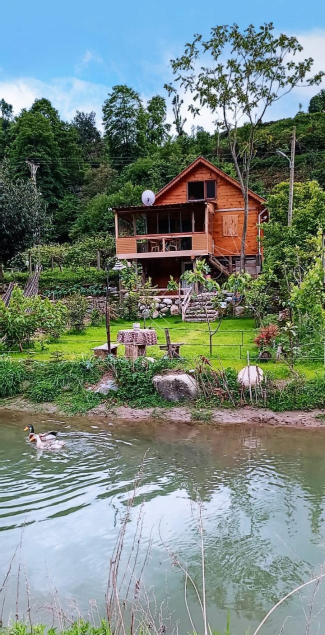 Cottage for daily rent in Rize, directly on the river, three rooms