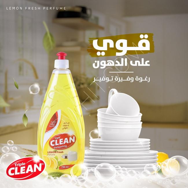 Dishwashing liquid 750 ml of high quality, Triple Clean