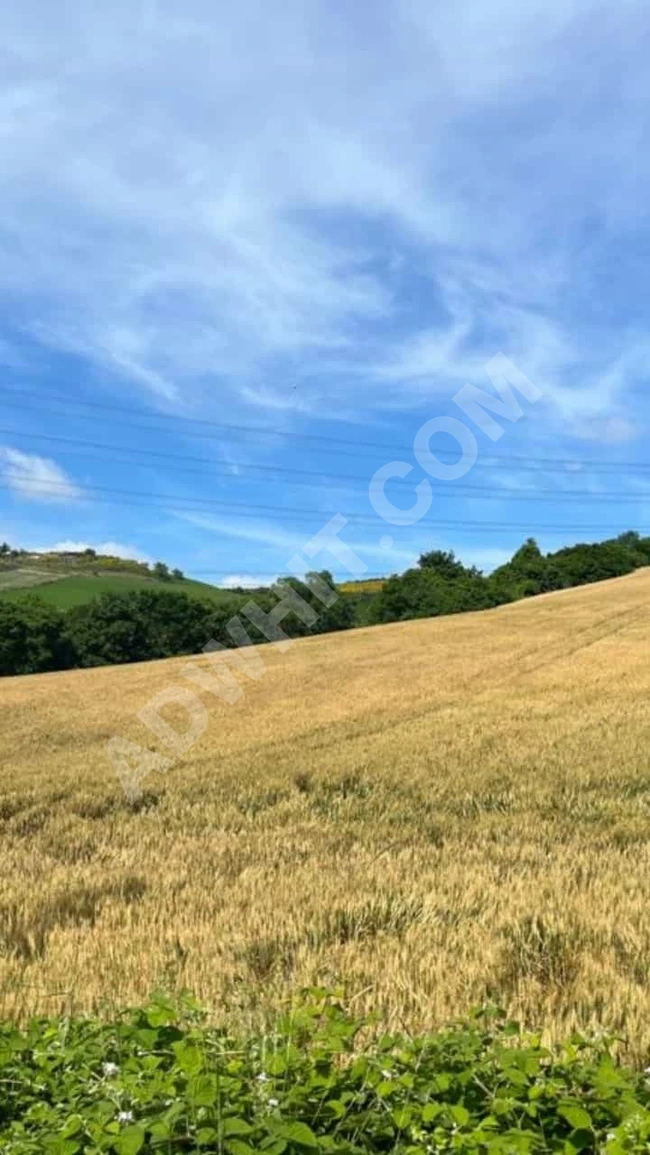 Arnavutköy, Boyalık bölgesinde  hemen geliştirilmeye hazır satılık imarlı arsa, yeni havaalanına ve yeni istanbul kanalına yakın , 2800 metre, iki cadde üzerinde, inşaat oranı %50, 4 katlı