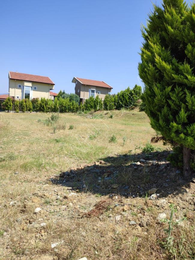 Land for villa construction in Yalova. Price per square meter is $19.