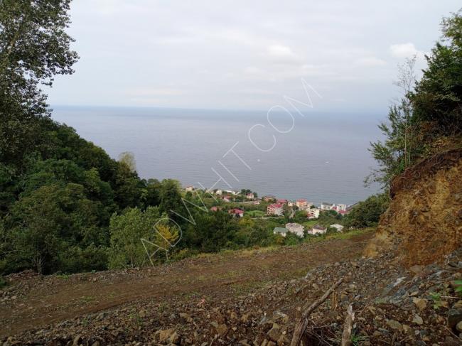 A land overlooking the sea in Trabzon suitable for building 10 villas.