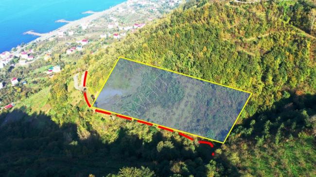 Trabzon'da Deniz manzaralı  ve 10 villa inşaatı için uygun bir arsa