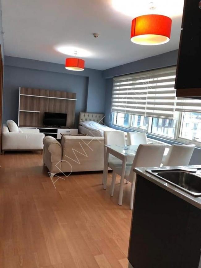 A hotel apartment for daily rent with 4 beds and a sofa that opens into a bed.