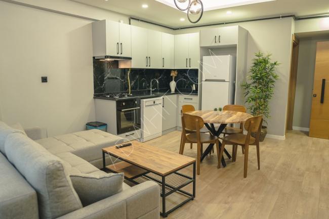 A new luxury apartment for tourist rent in the Fatih area
