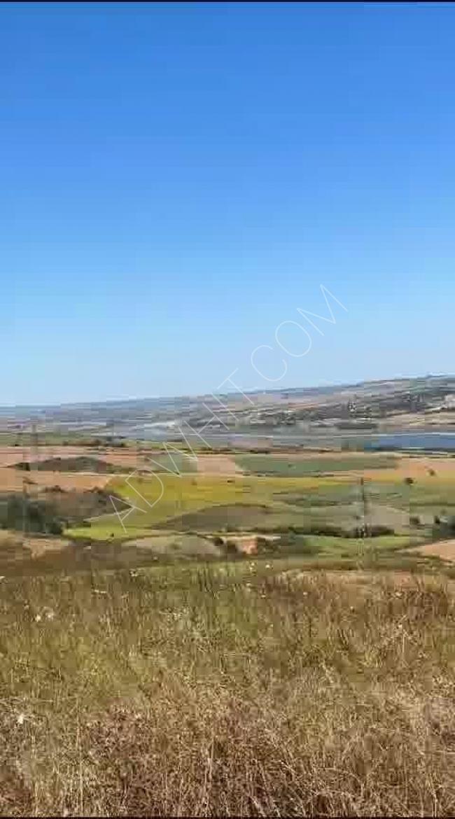 Land for sale in Arnavutkoy, suitable for nationality, price per square meter is 4500