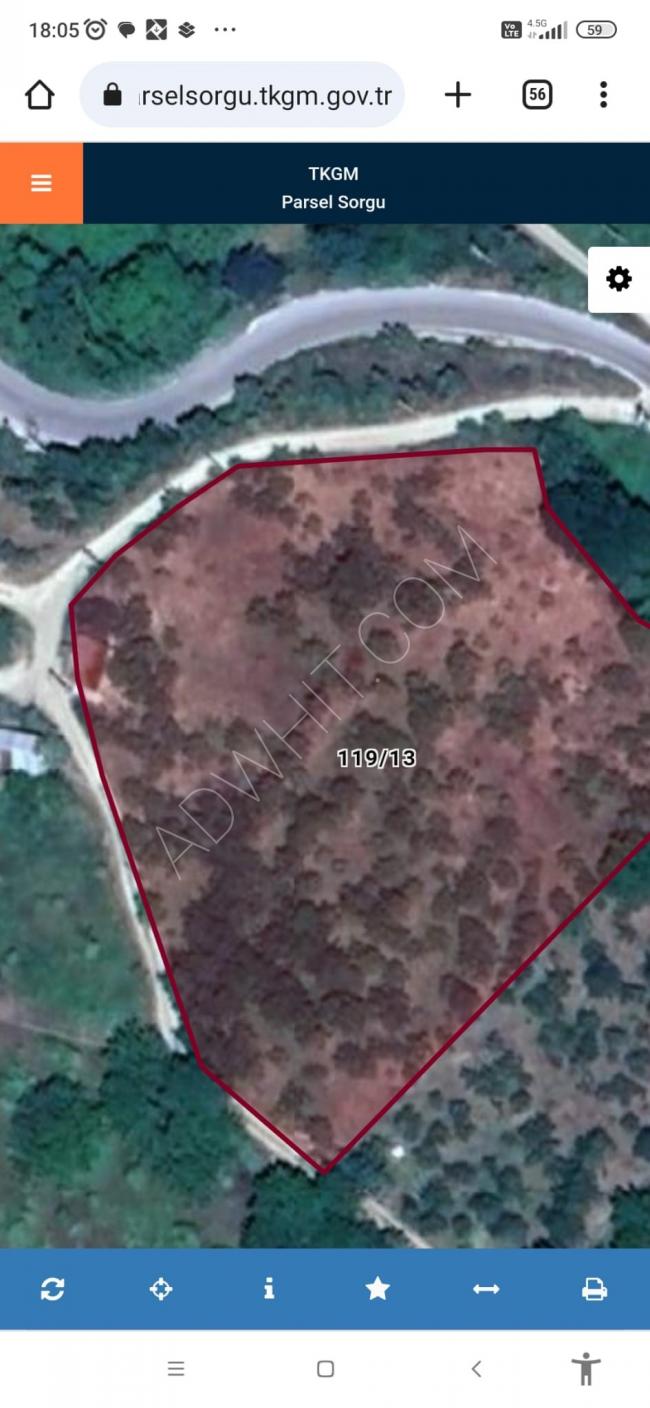 Land containing more than 450 trees for urgent sale in the Geyve area