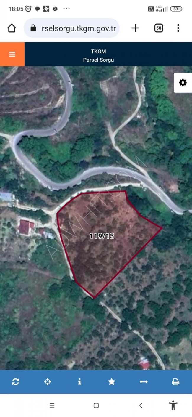Land containing more than 450 trees for urgent sale in the Geyve area