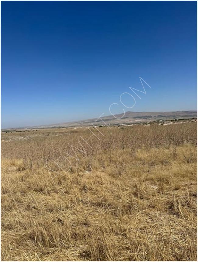 Investment lands for sale near the tourist city of Nevsehir