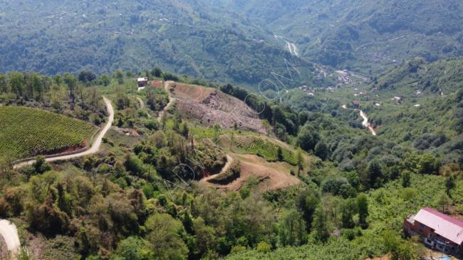A large plot of land for sale in Trabzon. The land is located in the Sürmene area