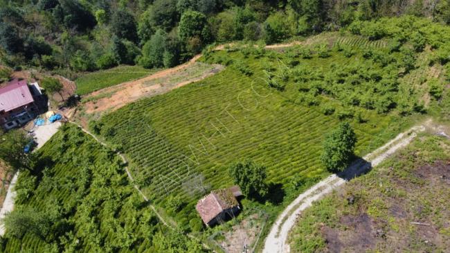 A large plot of land for sale in Trabzon. The land is located in the Sürmene area