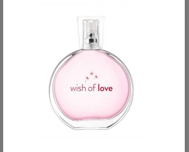 Wish of Love 