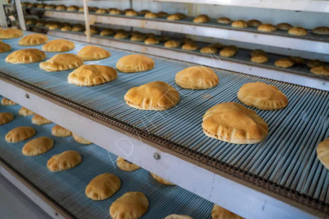خط انتاج  الخبز العربي