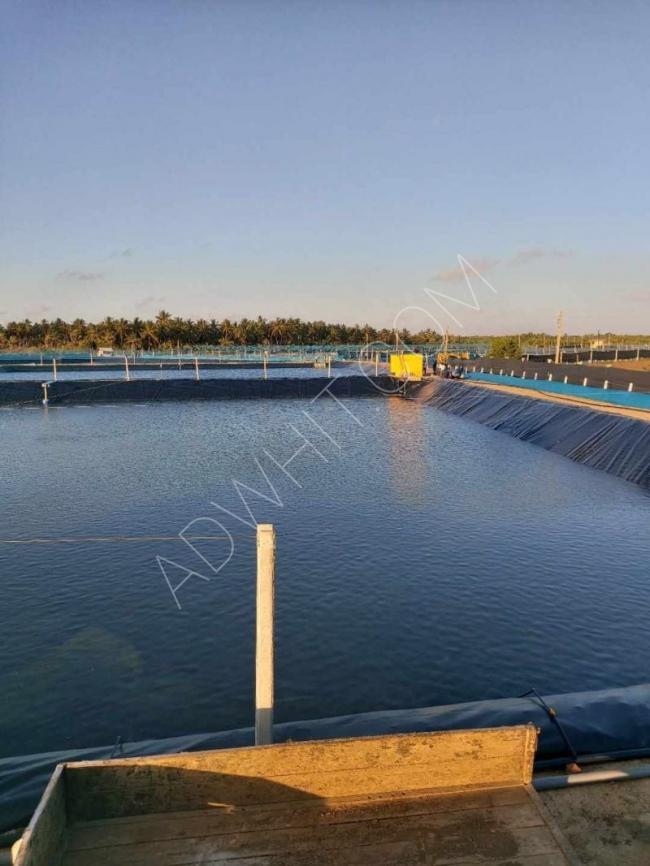 Petrol Atıkları Arıtma Havuzlar için HDPE Geomembranı