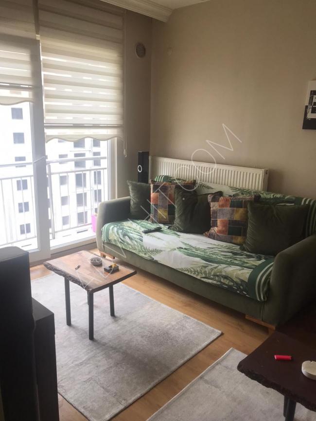 Furnished apartment for rent within a complex