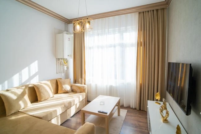 Luxury furnished apartment in Fatih