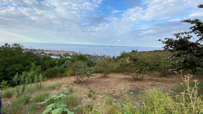 A distinctive land of 666m for sale in Trabzon