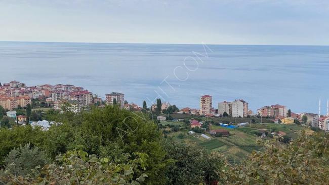 Trabzon'da satılık özel arazi 666m