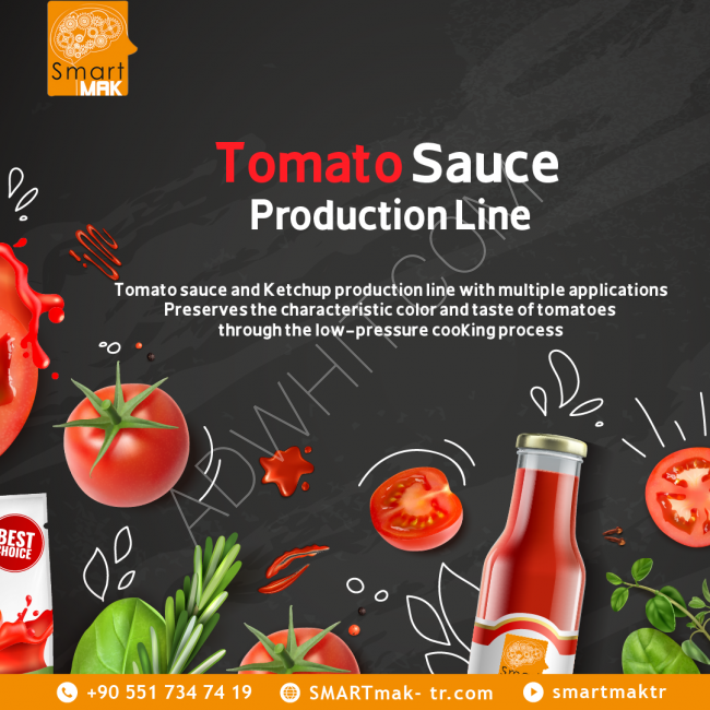 Tomato sauce production and packaging line