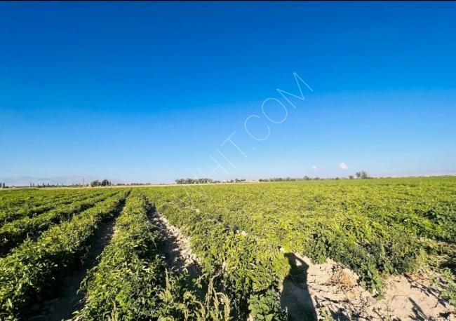 For urgent sale!!! Large agricultural land in Konya