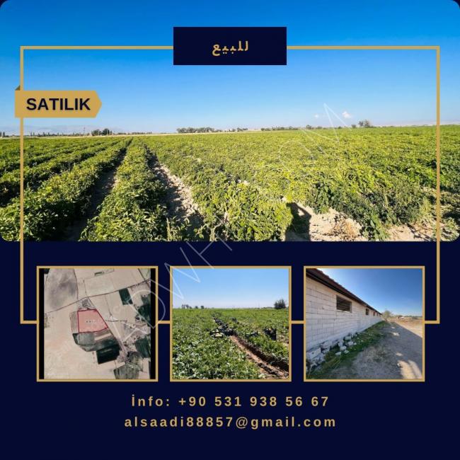 For urgent sale!!! Large agricultural land in Konya